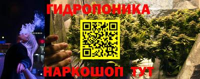 индика Шелехов