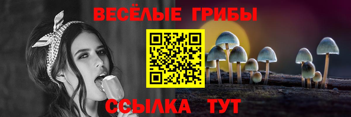 Псилоцибиновые грибы мицелий  Вход с VPN  купить  цена  Лянтор 